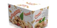 segal-taraghi-box-004